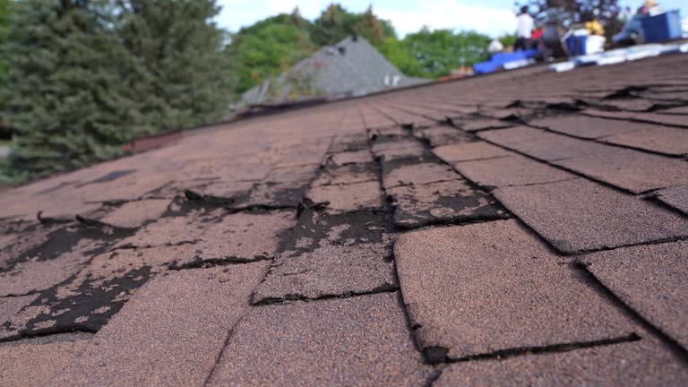 Best Roof Coating and Sealing  in Napervle, IL